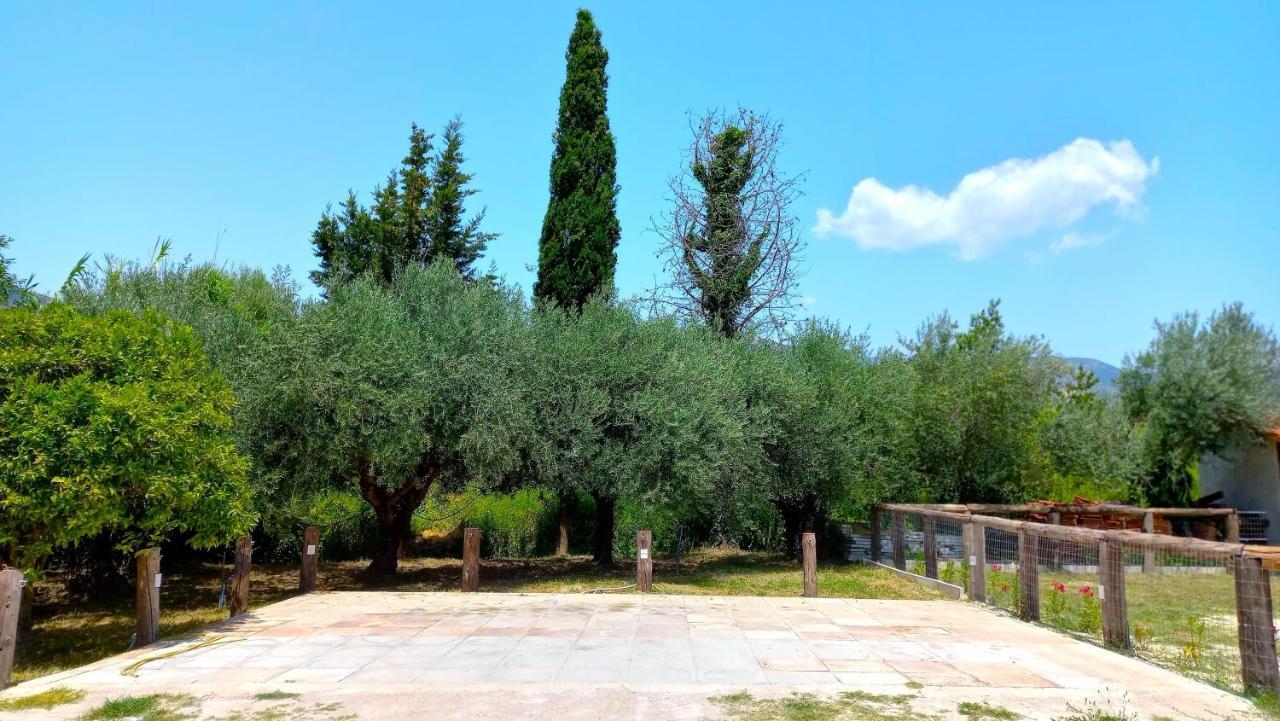 Platanos Villa วาซีลีกี ภายนอก รูปภาพ